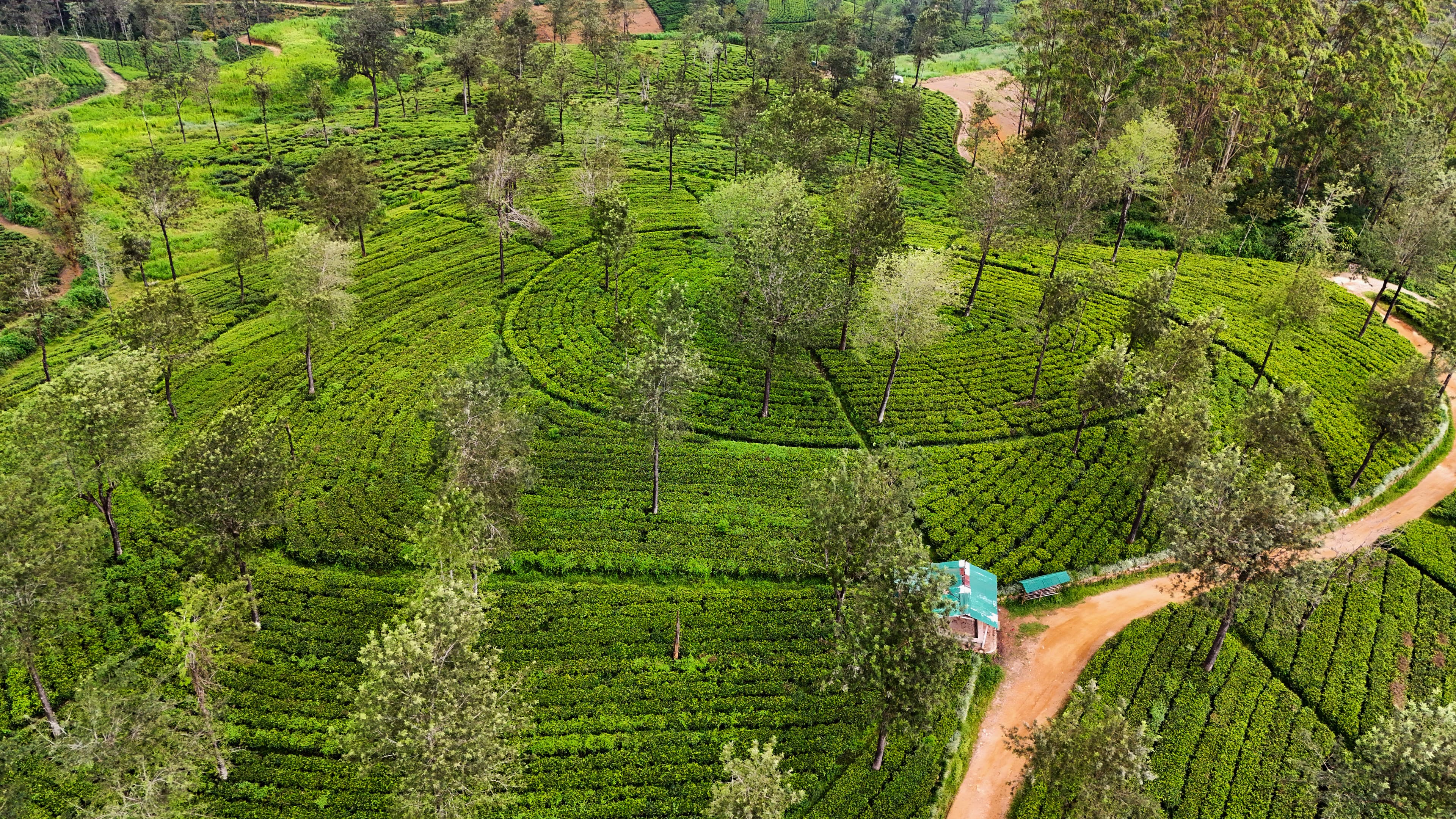 home-main-banner-image