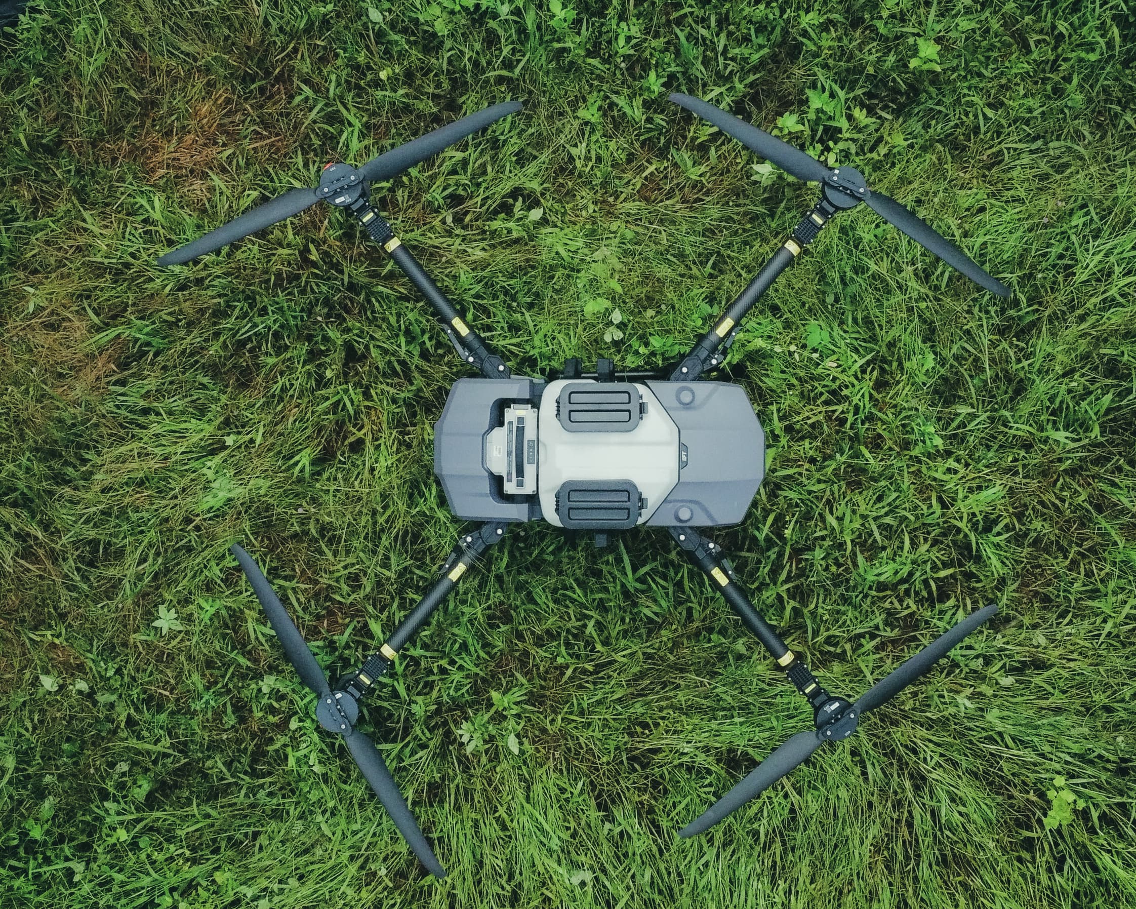 Tea plantation background