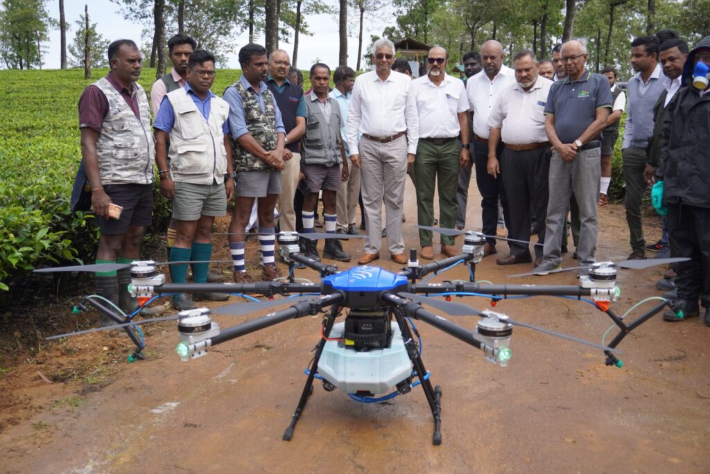Revolutionizing Tea Growing with Agricultural Drone Spraying!